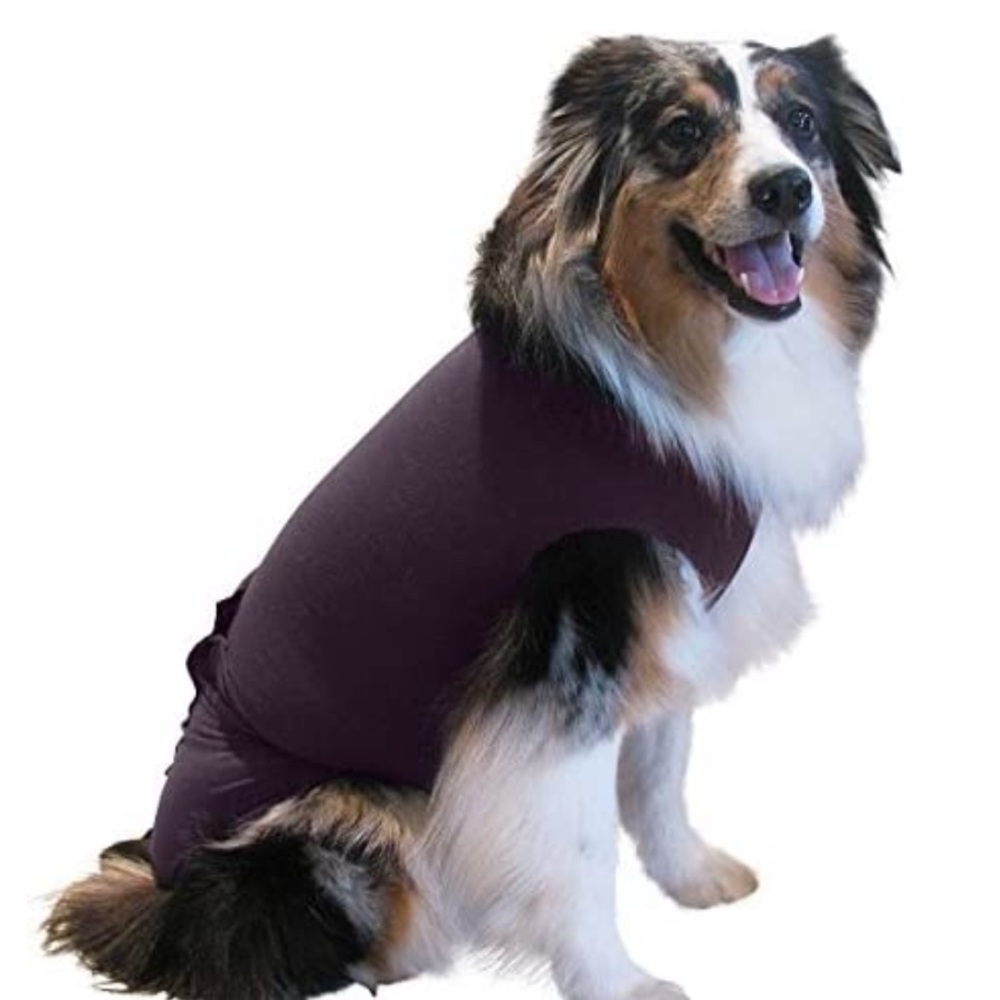 Dog wonder suit